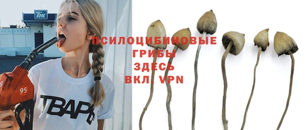 спиды Абинск