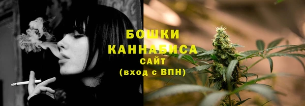 ПСИЛОЦИБИНОВЫЕ ГРИБЫ Абаза