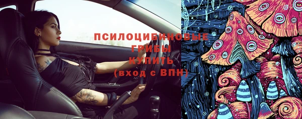 дмт Алзамай