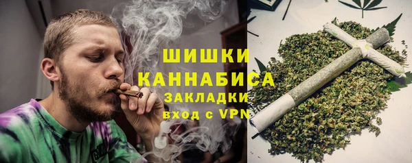дмт Алзамай
