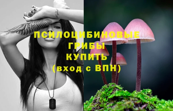 стаф Алексеевка