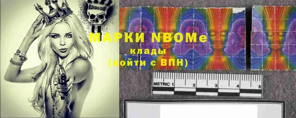 дмт Алзамай