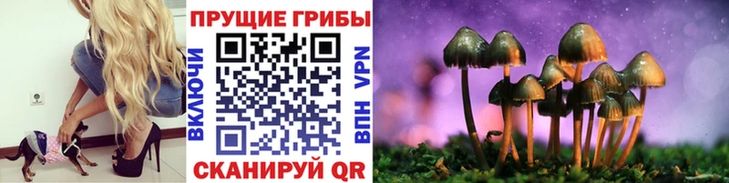 Псилоцибиновые грибы Psilocybine cubensis купить наркотик Шацк