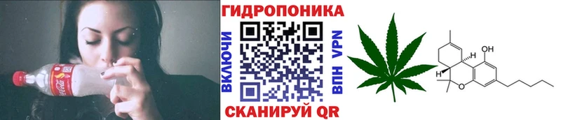 купить закладку  Шацк  сайты даркнета клад  Канабис план 
